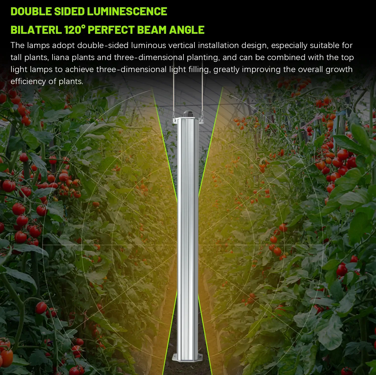 List Of Agriculture Farming - 최고의 ETL 인증 플랜트 그린 월