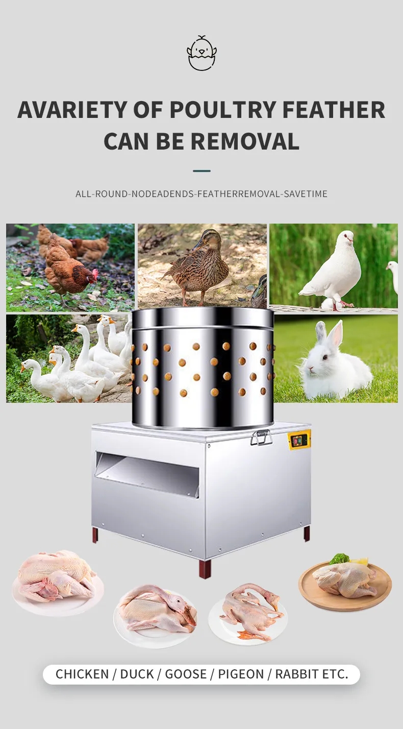 HHD 중형 SD50 닭털 뽑는 기계 손가락형 도축 장 - Chicken Plucker Machine 리뷰 및 가격