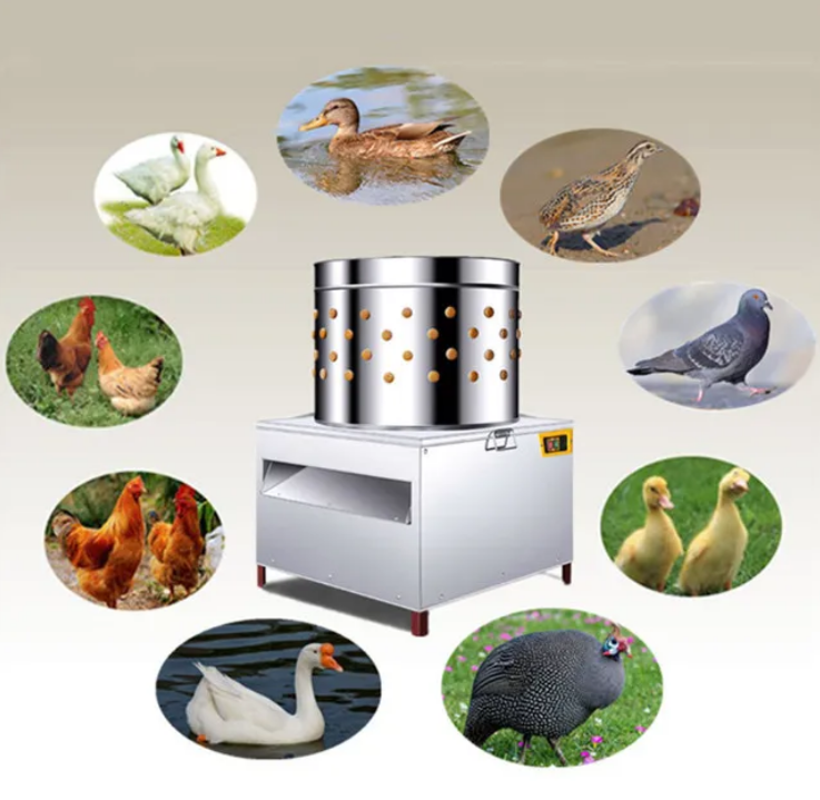상업용 닭털 제거 기계 자동 닭털 뽑는 기계 가금류 털 - Chicken Plucker Machine 리뷰 및 가격