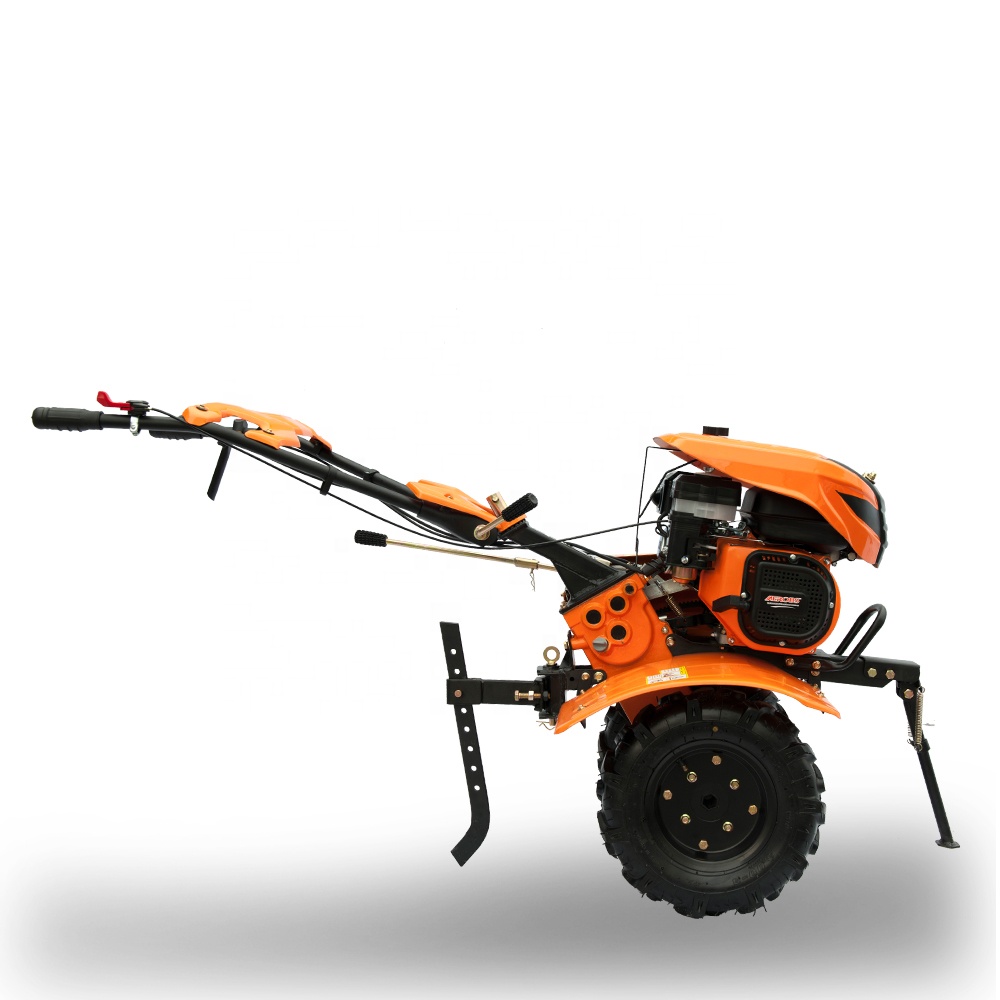 BSG800A-3 농업용 미니 다기능 베드 포머 로터리 - List Of Agriculture Farming 리뷰 및 가격