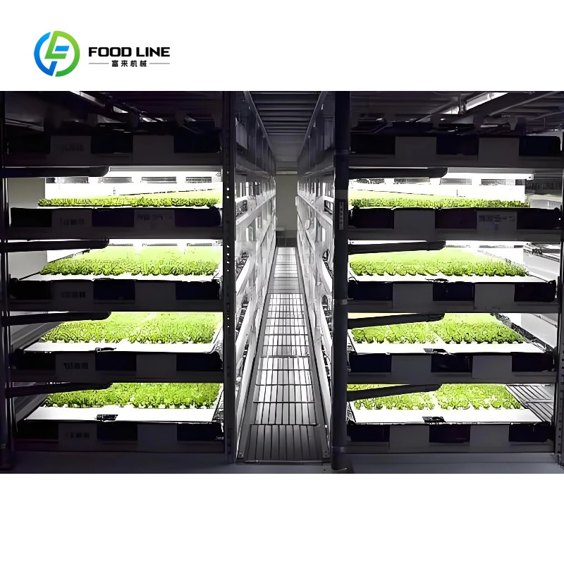 맞춤형 스마트팜 수직 NFT 수경재배 시스템 스틸 컨테 - Agriculture Vertical Farming 리뷰 및 가격