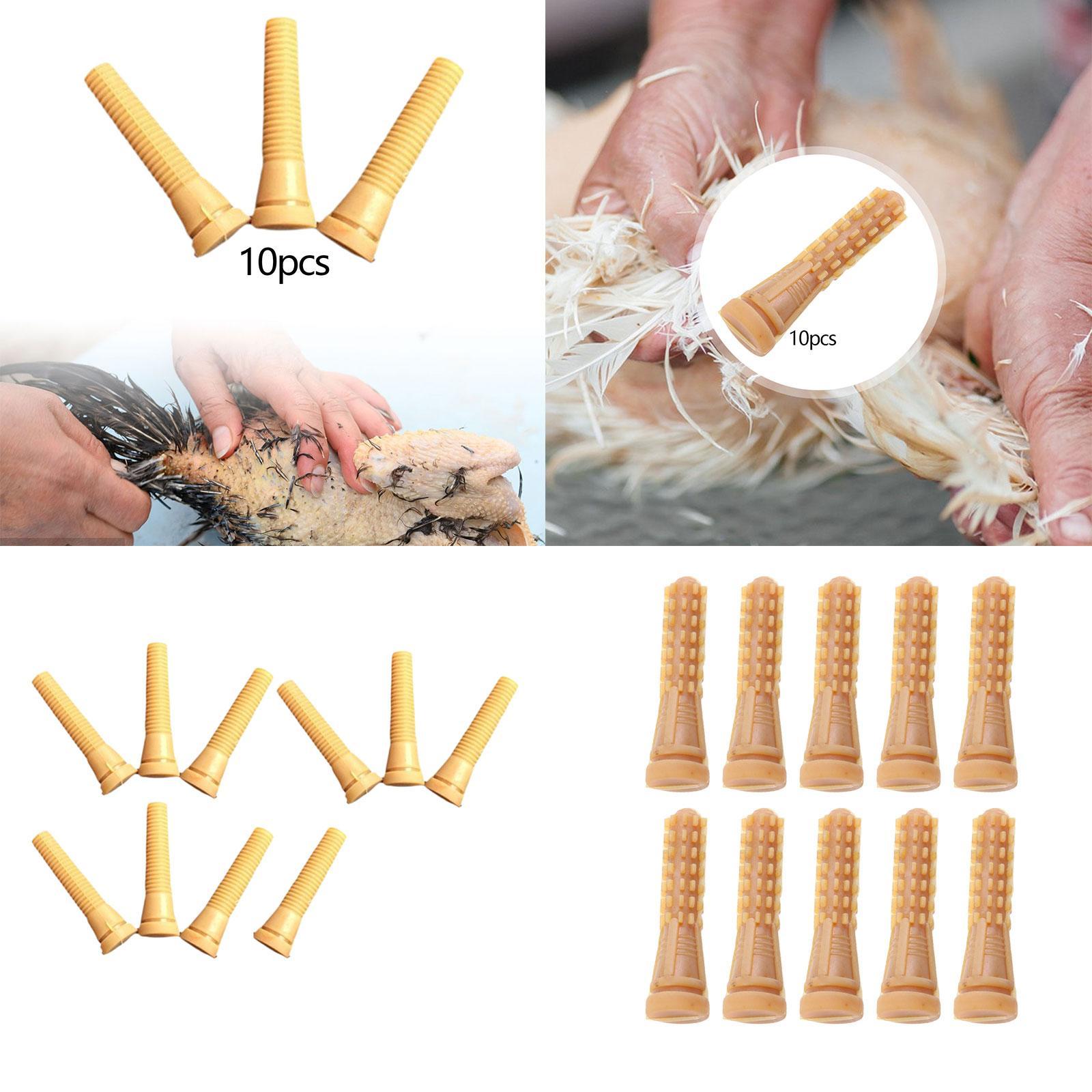 가금류 털 뽑는 기계 부품 고무 치킨 플러커 핑거 제모 - Chicken Plucker Machine 리뷰 및 가격