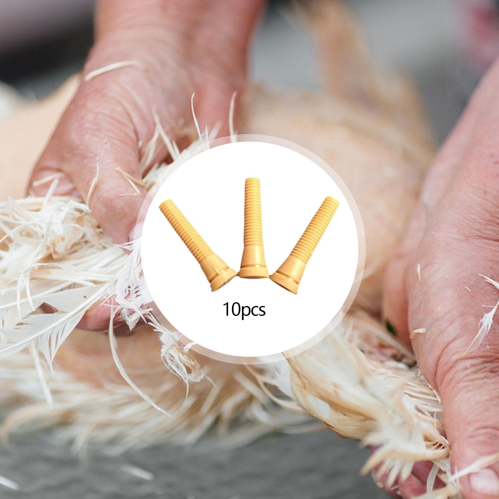가금류 털 뽑는 기계 부품 고무 치킨 플러커 핑거 제모 - Chicken Plucker Machine 리뷰 및 가격