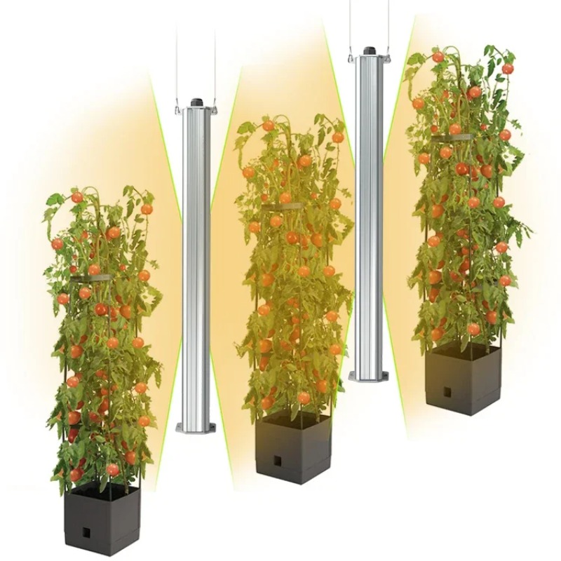 최고의 ETL 인증 플랜트 그린 월 농업 수직 정원 수 - List Of Agriculture Farming 리뷰 및 가격