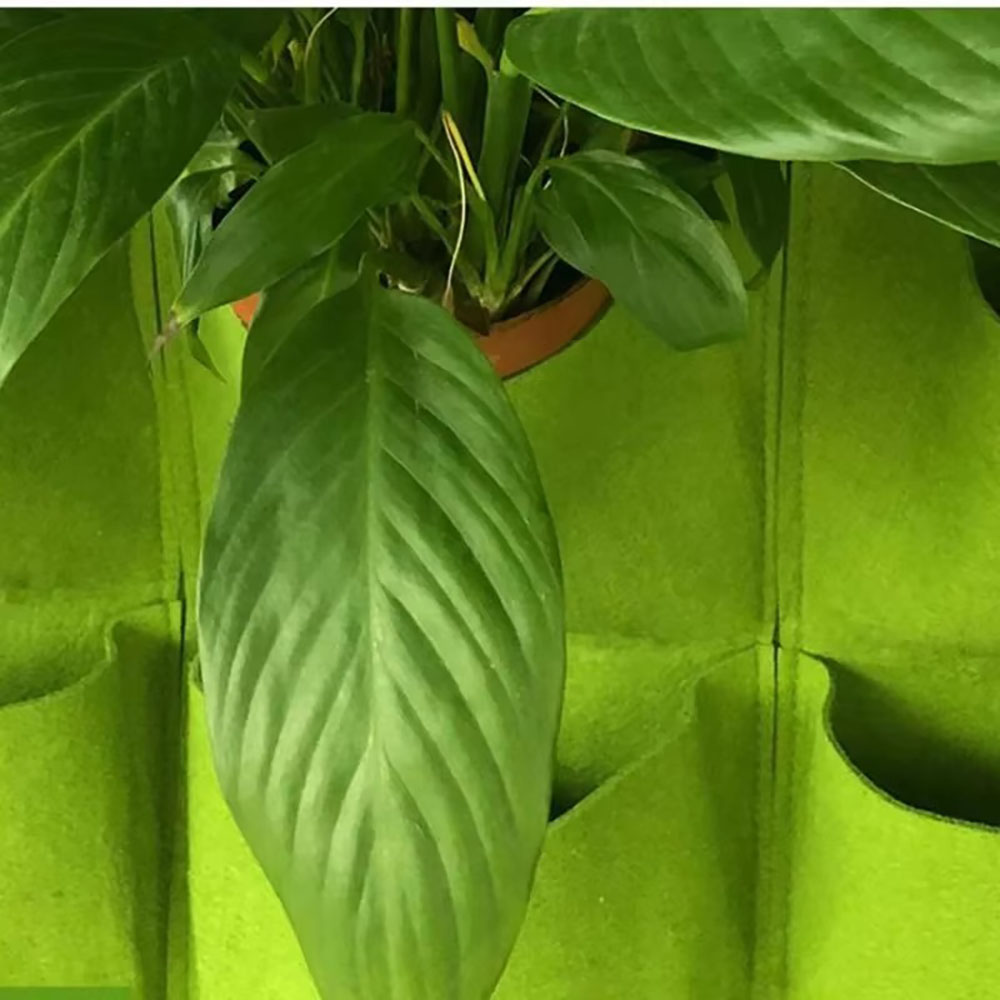 다용도 포켓 그린 수직형 행잉 가든 플랜터 채소 과일  - Agriculture Vertical Farming 리뷰 및 가격