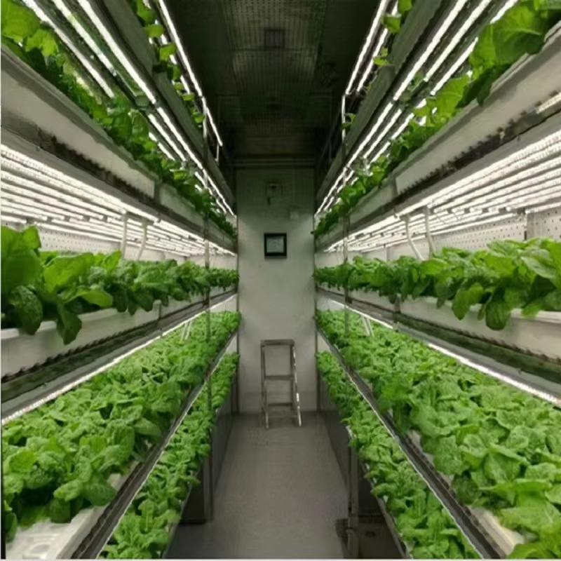 맞춤형 농업용 온실 수경재배 컨테이너 시스템 수직 농업 - Agriculture Vertical Farming 리뷰 및 가격