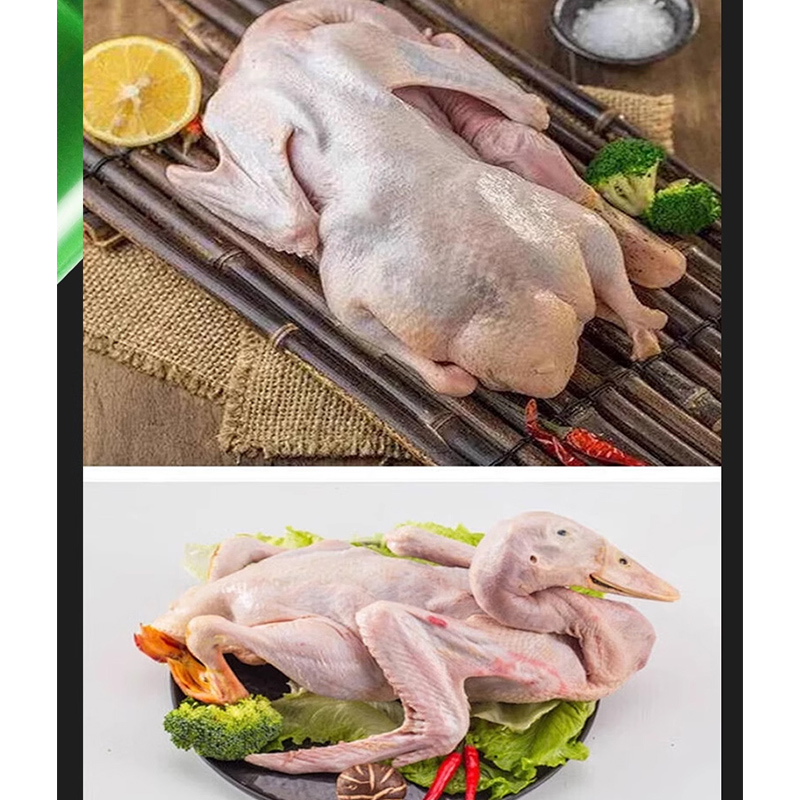 휴대용 깃털 뽑는 기계 자동 가금류 닭 오리 거위 깃털 - Chicken Plucker Machine 리뷰 및 가격