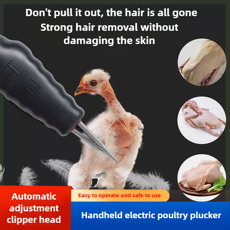 휴대용 전기 닭털 뽑는 기계, 완전 자동 핸드헬드 가금 - Chicken Plucker Machine 리뷰 및 가격