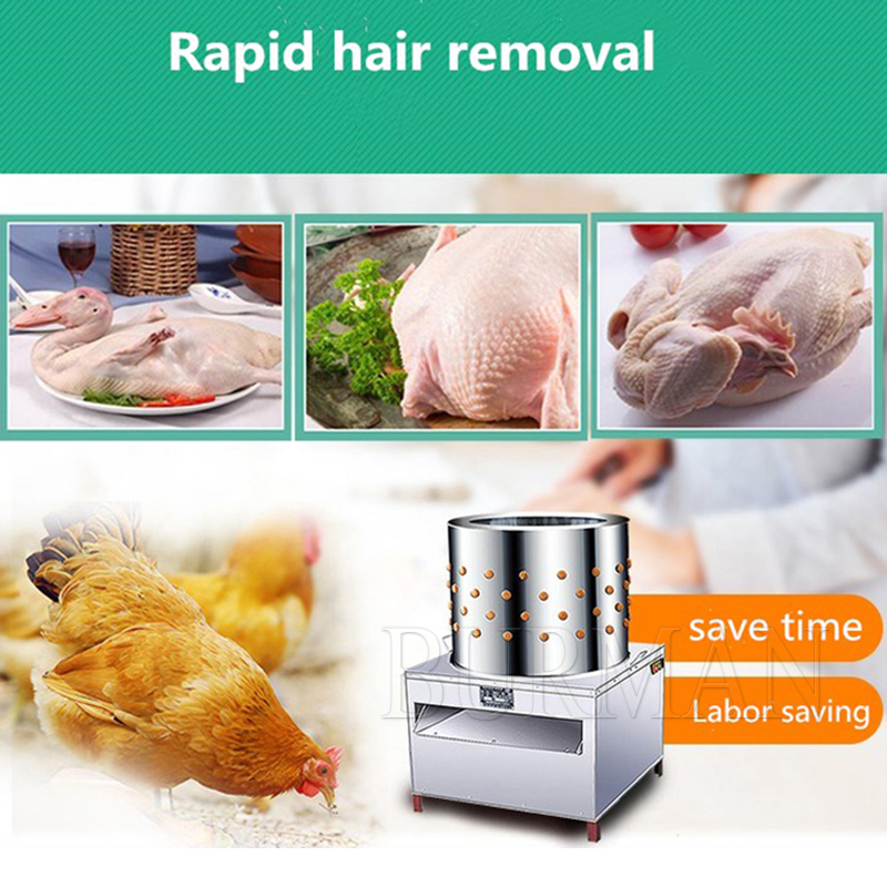 새로운 메추라기 비둘기 제모기 깃털 뽑는 기계 농장 가 - Chicken Plucker Machine 리뷰 및 가격