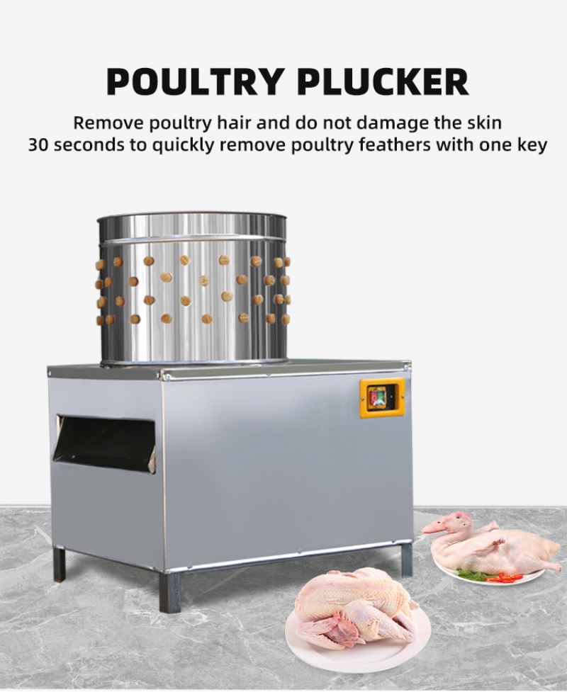 ISO 인증 비둘기/닭 도축기, 저렴한 가격의 4마리  - Chicken Plucker Machine 리뷰 및 가격