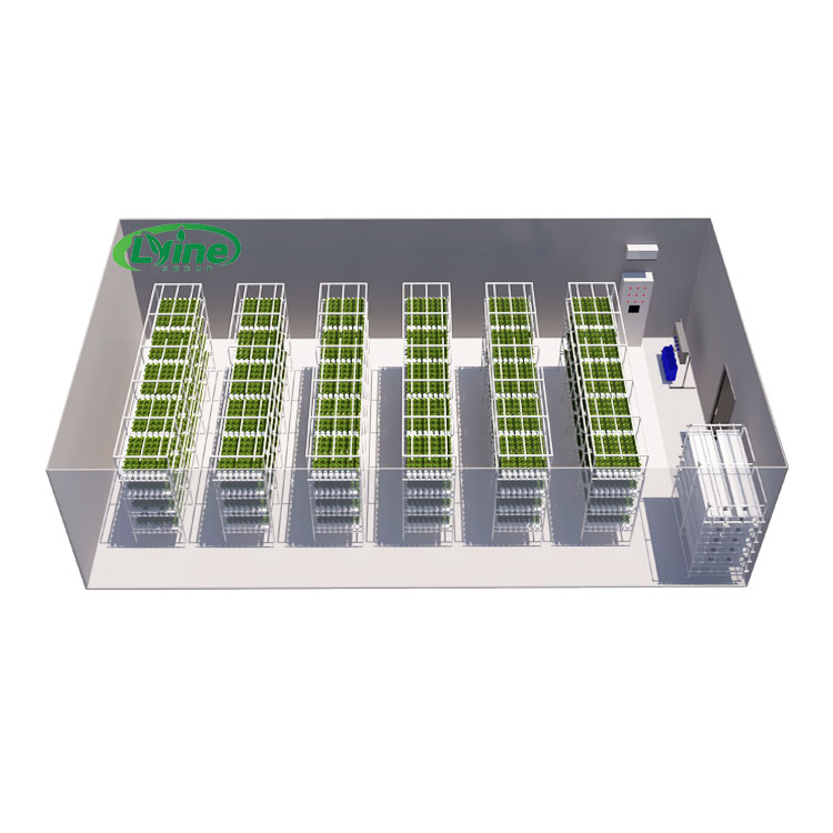 농업용 온실 상추 NFT 수경재배 시스템 수직 수경재배 - Agriculture Vertical Farming 리뷰 및 가격